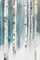Winter Birch Poster Print by Allison Pearce - Item # VARPDXPS076A